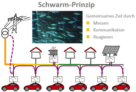 Das Schwarm-Prinzip